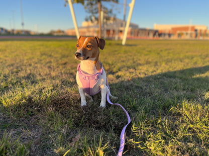 Dog Harness - Purple