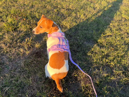 Dog Harness - Purple