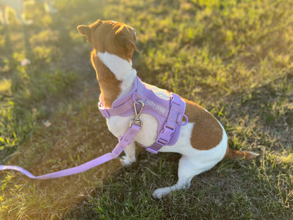 Dog Harness - Purple
