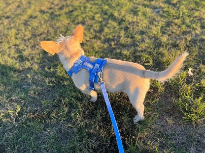 Dog Harness - Blue