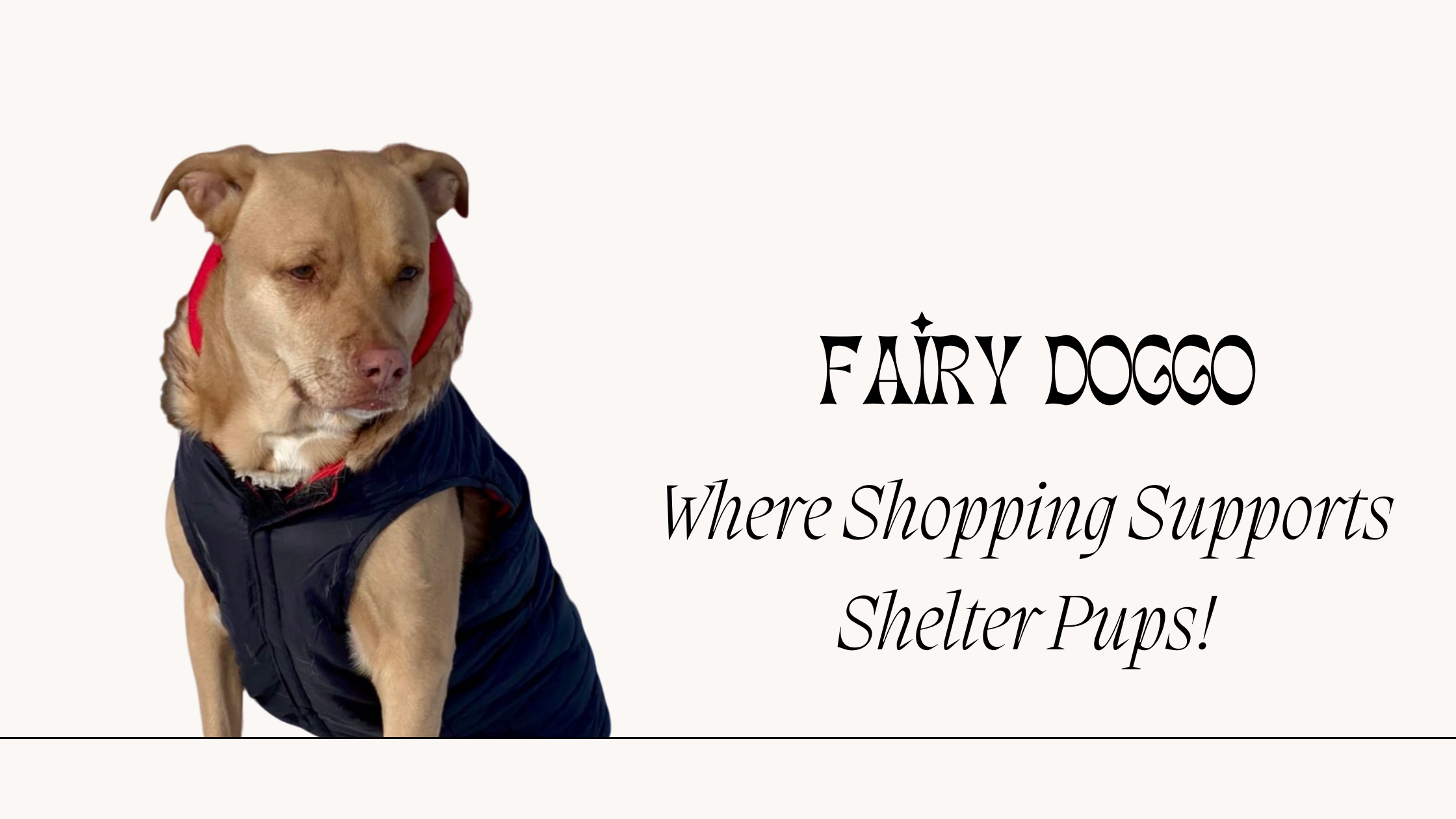 Doggo shop clearance