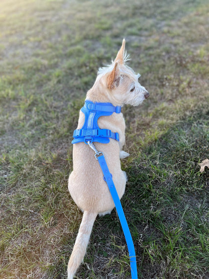 Dog Harness - Blue