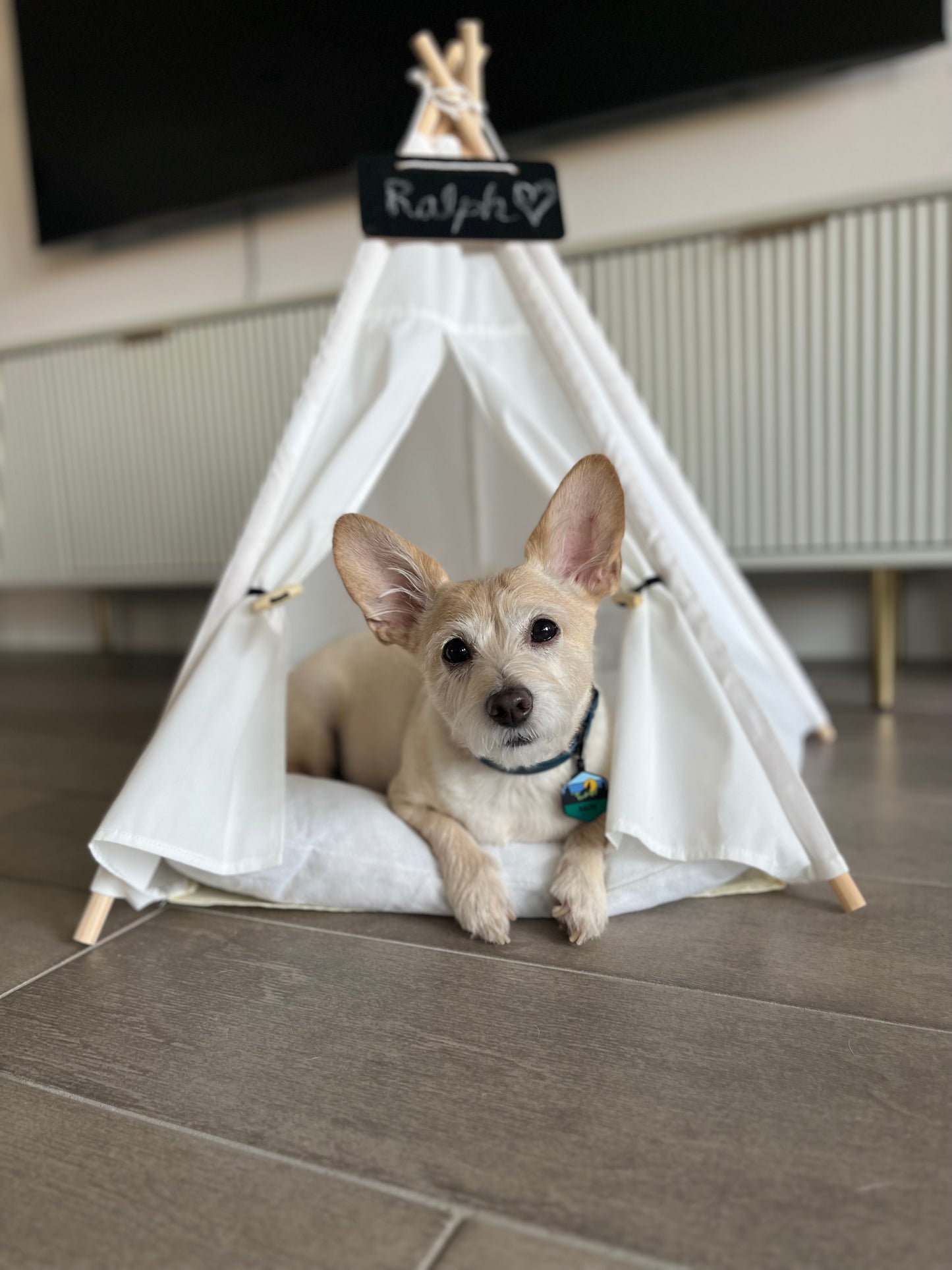Anti Anxiety Teepee Pet Bed.